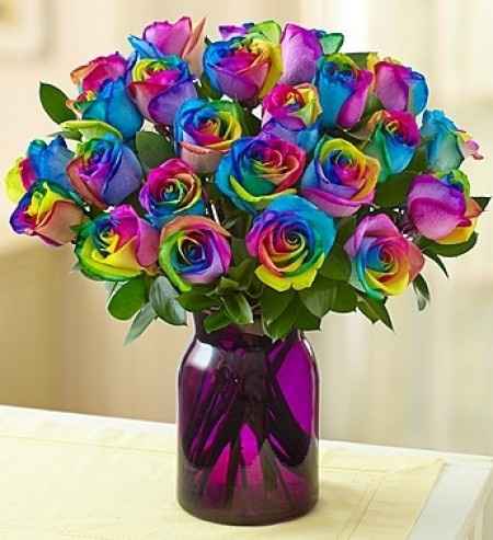 Raimbow Roses