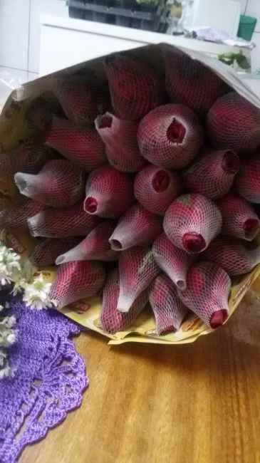 Flores compradas na Feira das flores do Ceagesp.
