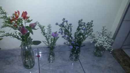Flores compradas na Feira das flores do Ceagesp.