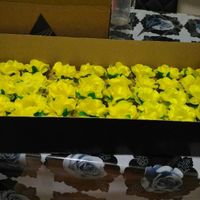 Help - forminhas diy - 2