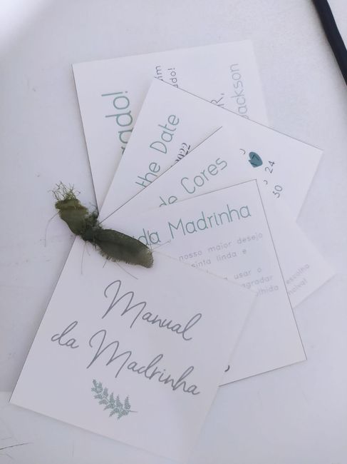 manual dos padrinhos 1