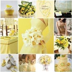 amarelo e branco