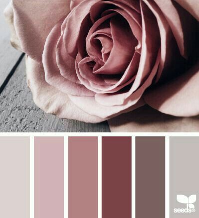 Paleta de cores - 5