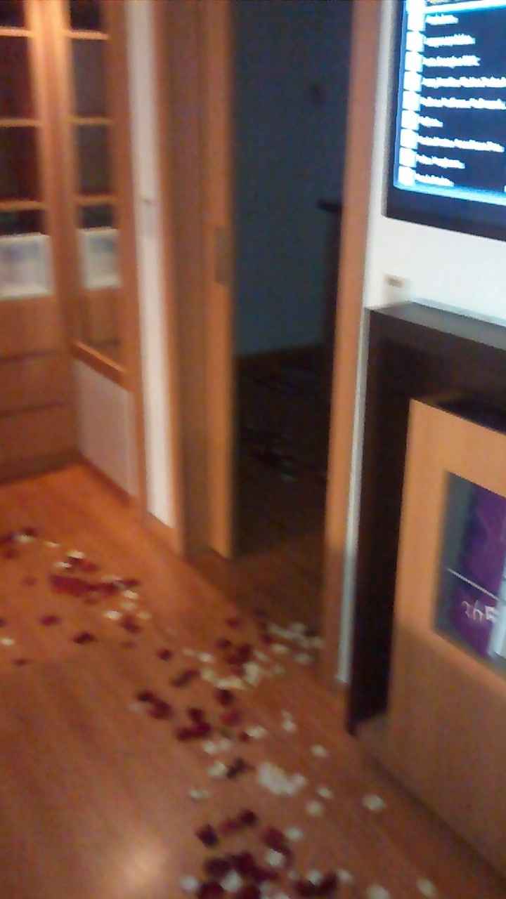 o caminho com pétalas