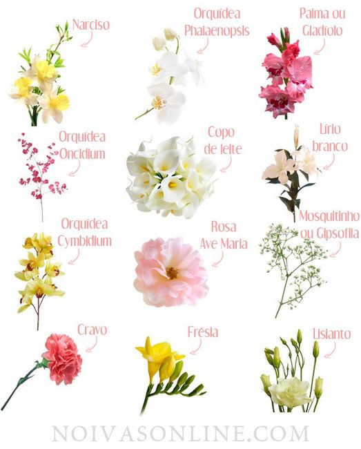 Flores para decoração 
