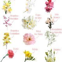 Flores para decoração 