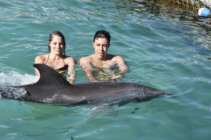 Nadando com os golfineos =)