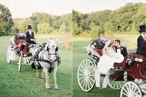 Carruagens no casamento - 2
