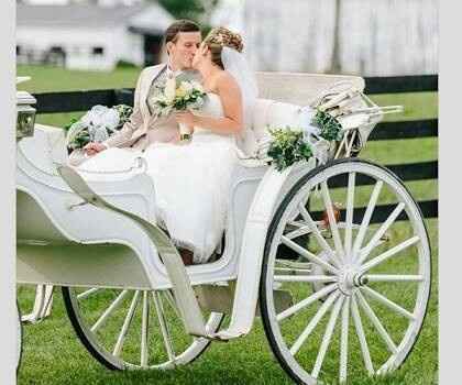 Carruagens no casamento - 5