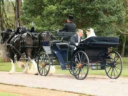 Carruagens no casamento - 6