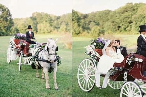 Carruagens no casamento - 2