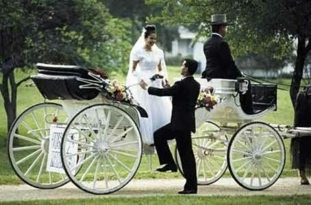 Carruagens no casamento - 3