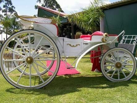 Carruagens no casamento - 7