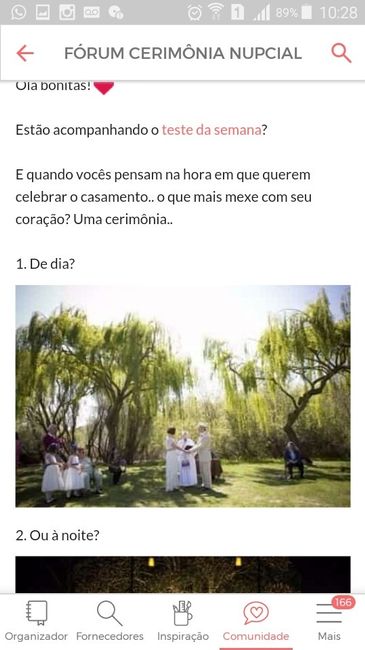 Meus dilemas de noiva - janaína - 3