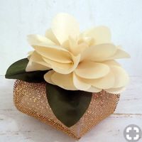  Duvida em os bens casados - 2