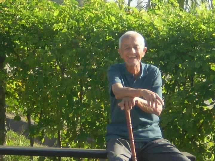Vô Pedro