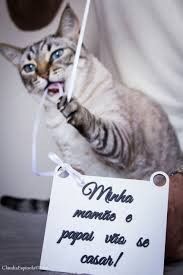 PETSSS