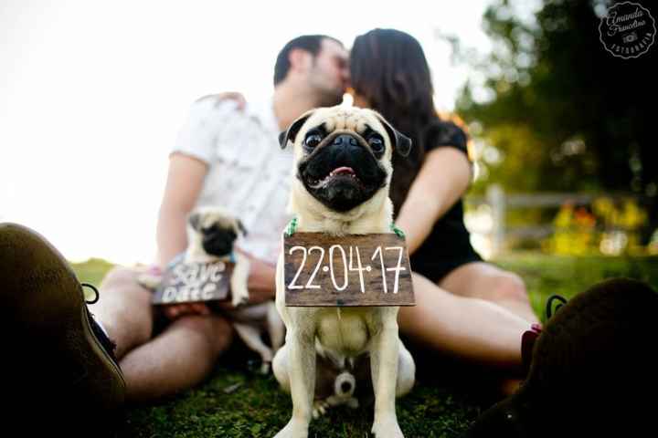 PETSSS