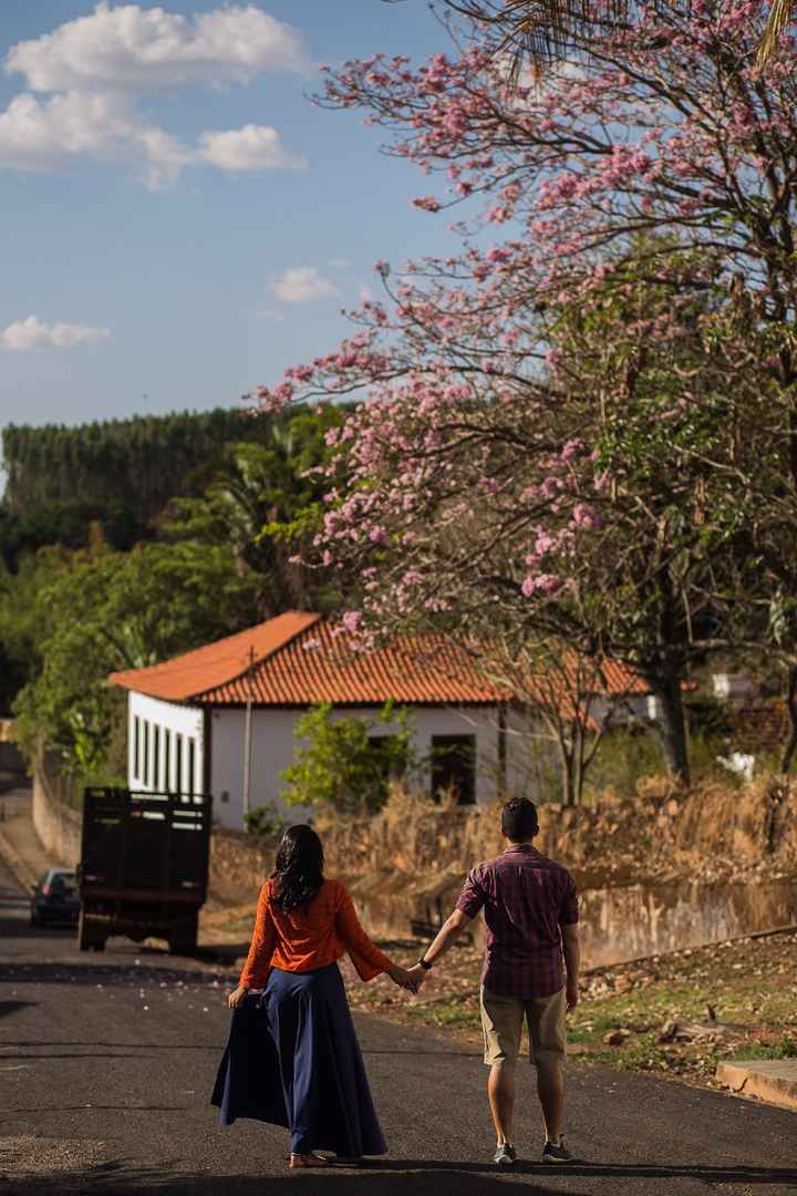 Porque amamos ipês!