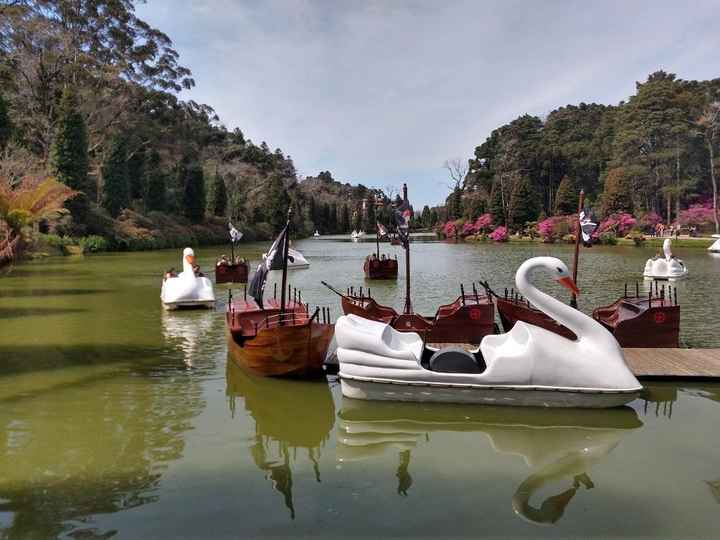 Lago negro e os pedalinhos/barcos