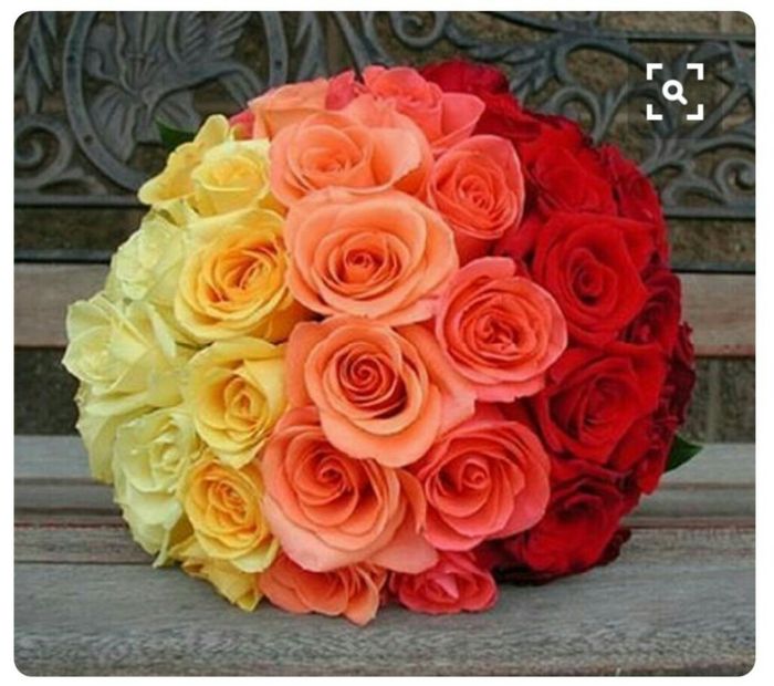 Qual cor escolher para o casamento? - 3