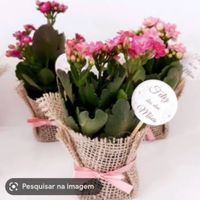 Decoração - 1