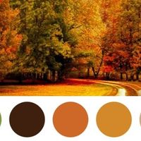 Cores de outono 