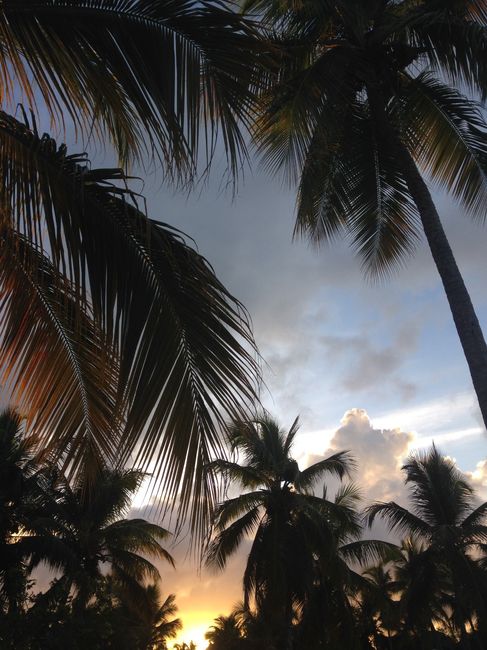 Fim de tarde