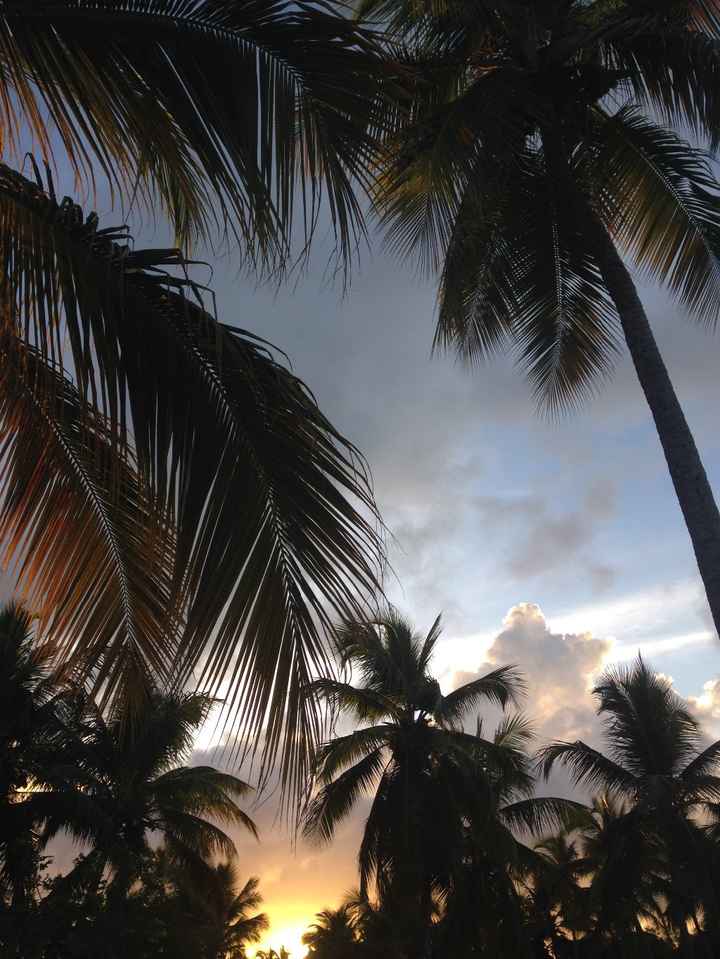 Fim de tarde