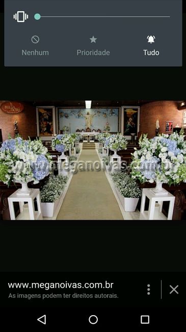 Flores x orçamento - 1