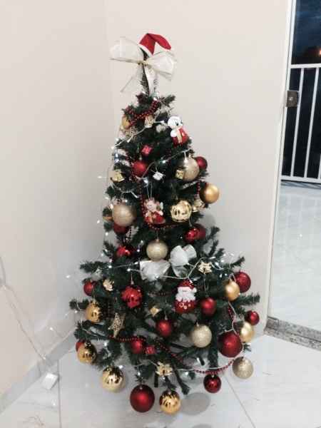 Casa nova!!! - 1