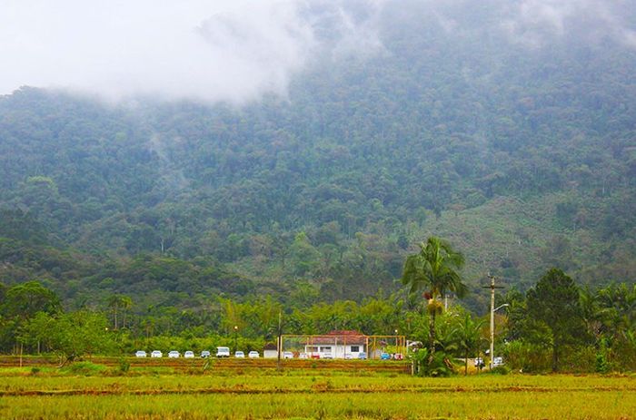 Vista Maravilhosa