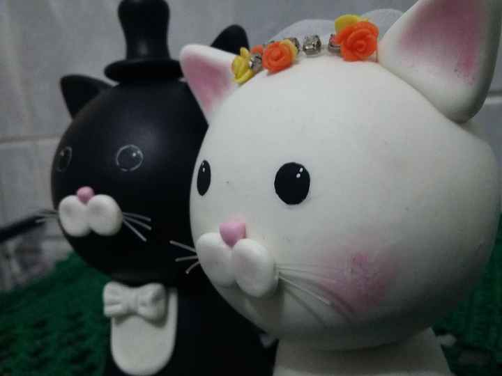 Cats detalhes