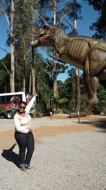 Lua de mel - em gramado - 2
