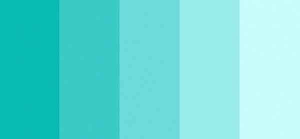 Paleta de cores 