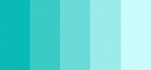 Paleta de cores 