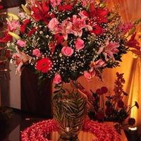 Rosa Chá e Marsala 3