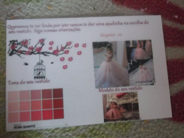 Manual das Daminha