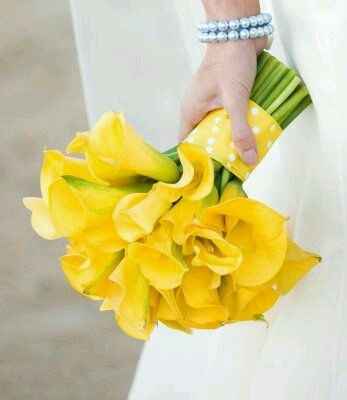 Qual bouquet escolher?!! - 1
