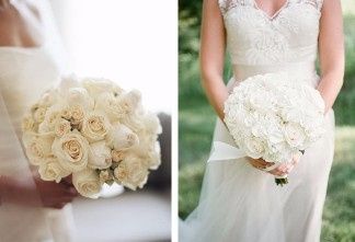 rosas brancas