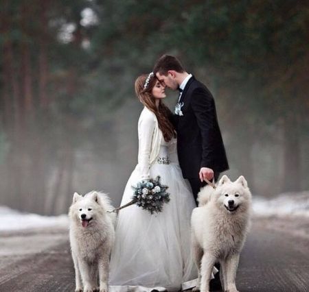 Perfeito FOTO!