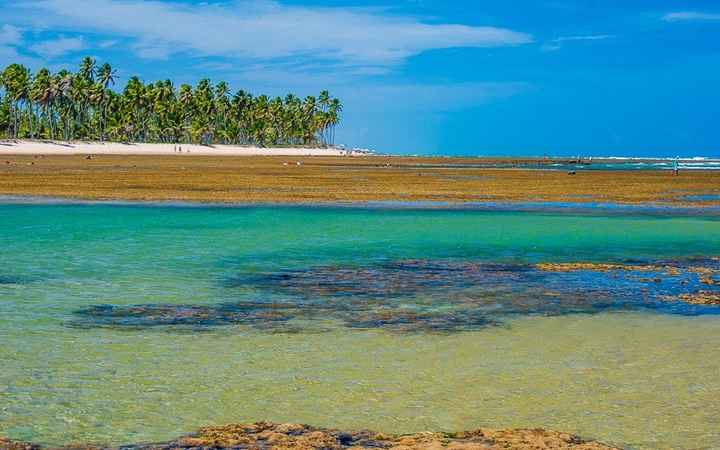 Praia do Forte