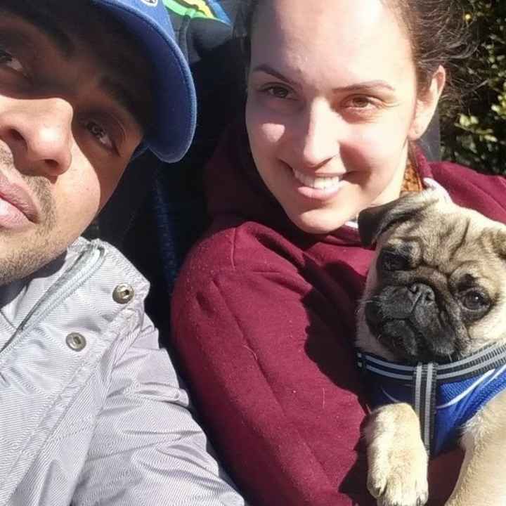 Quem de vocês amaria ganhar um bicho de estimação? - 1