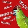 Papagaio