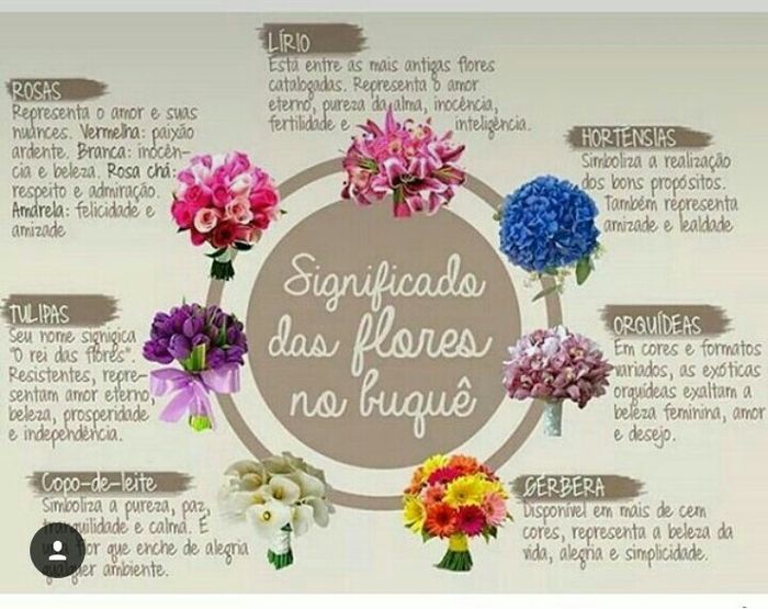 Dica perfeita - 1