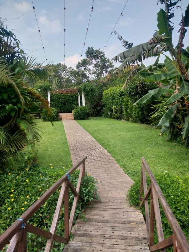 Dicas para cantar no casamento (cerimônia) - 1