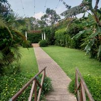 Dicas para cantar no casamento (cerimônia) - 1