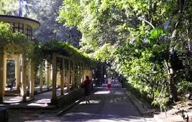 Parque da Água Branca