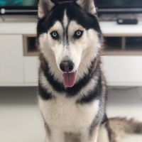 Quem vai entrar com as alianças? - 1