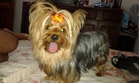 Esse é meu amor! qual é o seu? - 2